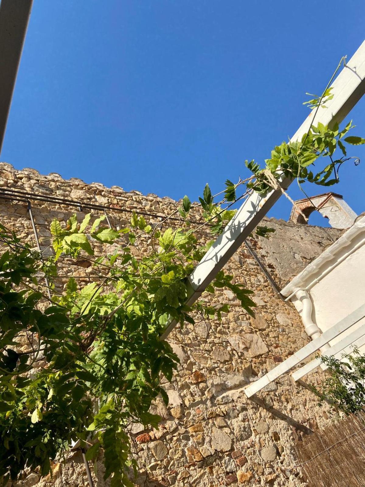 Ecoturisme Mas Ribas Hotel Palamós Exterior foto