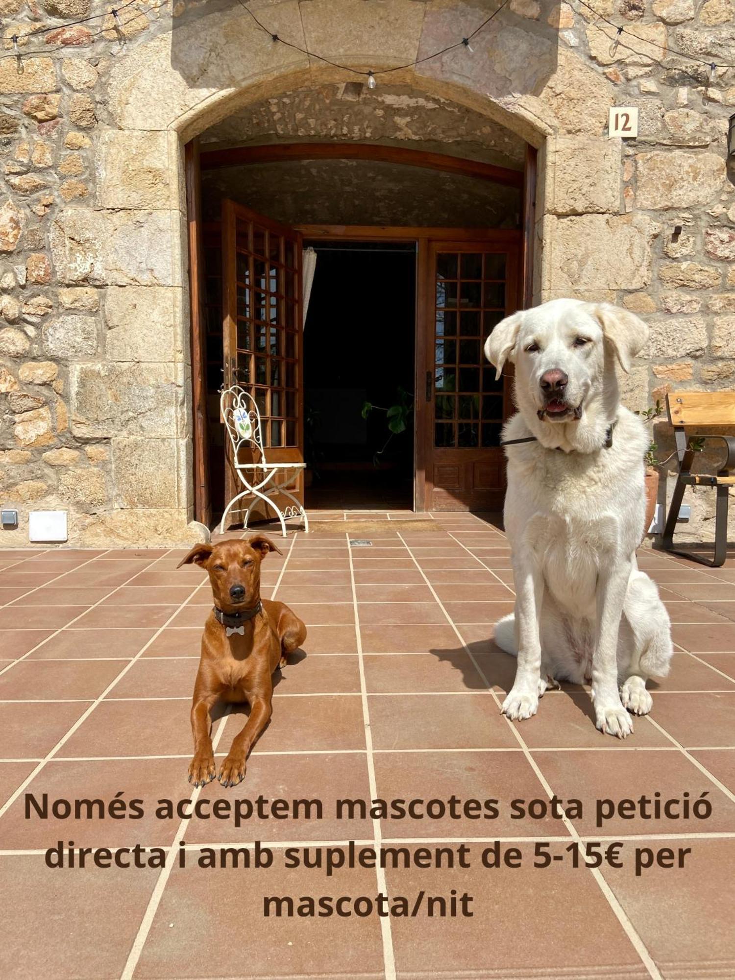 Ecoturisme Mas Ribas Hotel Palamós Exterior foto